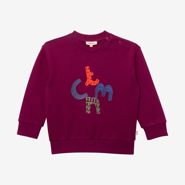 Baby boys' purple sweatshirt