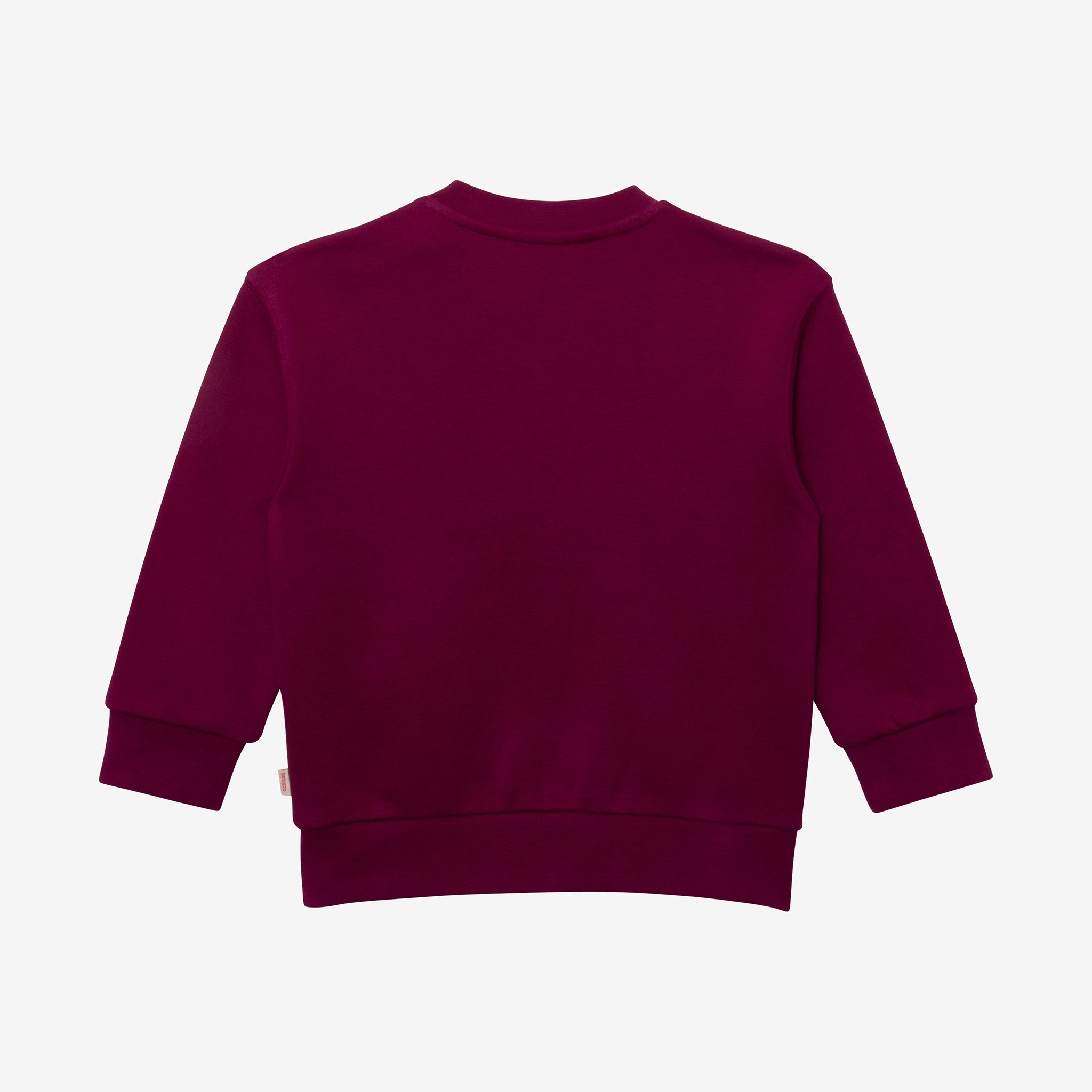 Toddler boys\' purple sweatshirt | USA Catimini