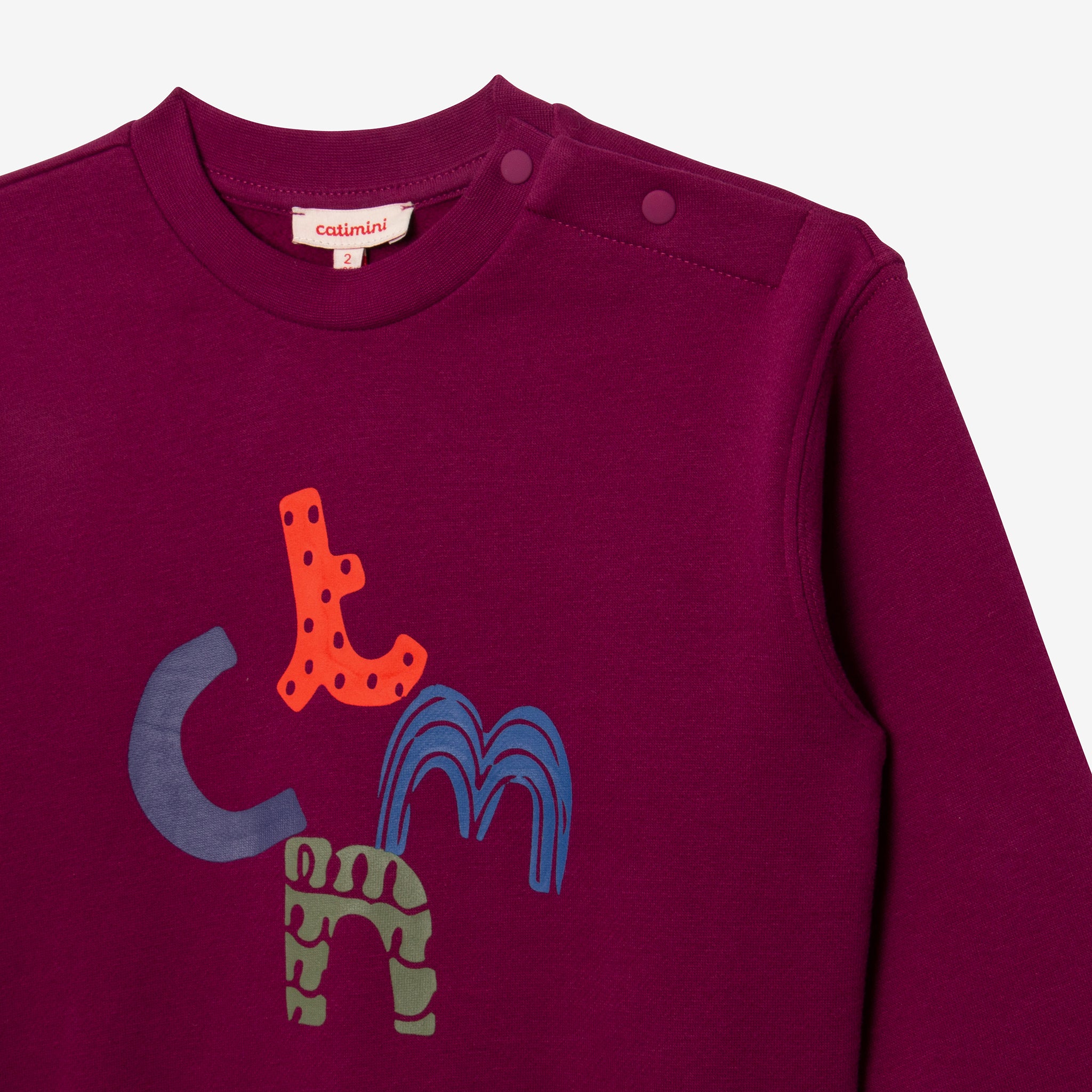 Toddler boys\' purple USA Catimini sweatshirt 