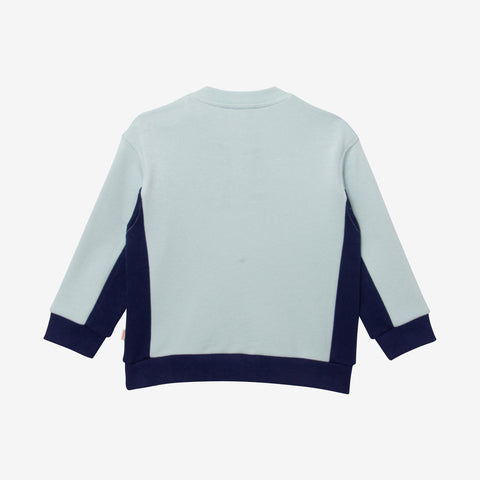 Baby boys' blue sweatshirt