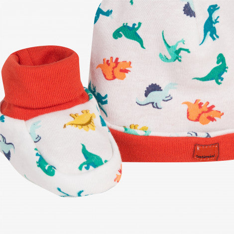 Newborn boy bonnet and booties set in dinosaur print