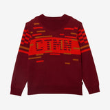 Boy burgundy knit sweater